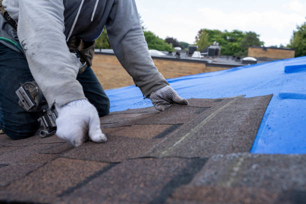 Best Roof Gutter Cleaning  in Green Springs, OH